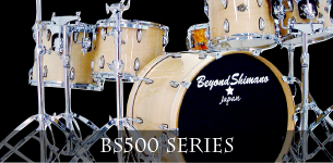 BS500 Series
